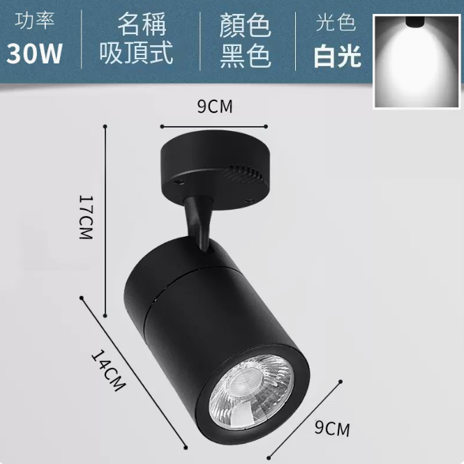 熱賣COB吸頂式軌道燈（30W/黑殼/正白光）
