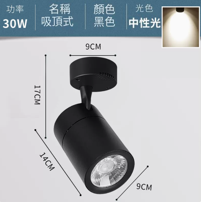 熱賣COB吸頂式軌道燈（30W/黑殼/中性光）