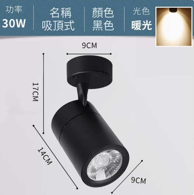 熱賣COB吸頂式軌道燈（30W/黑殼/暖黃光）