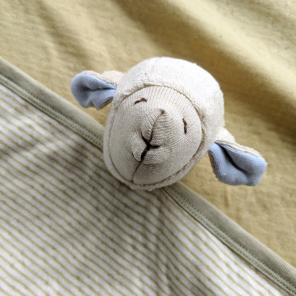 有機雙層彩大安撫巾 六款可選 | 藍天畫布有機棉