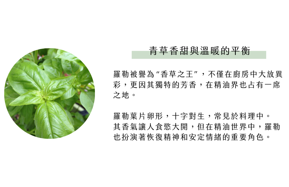 青草香甜與溫暖的平衡