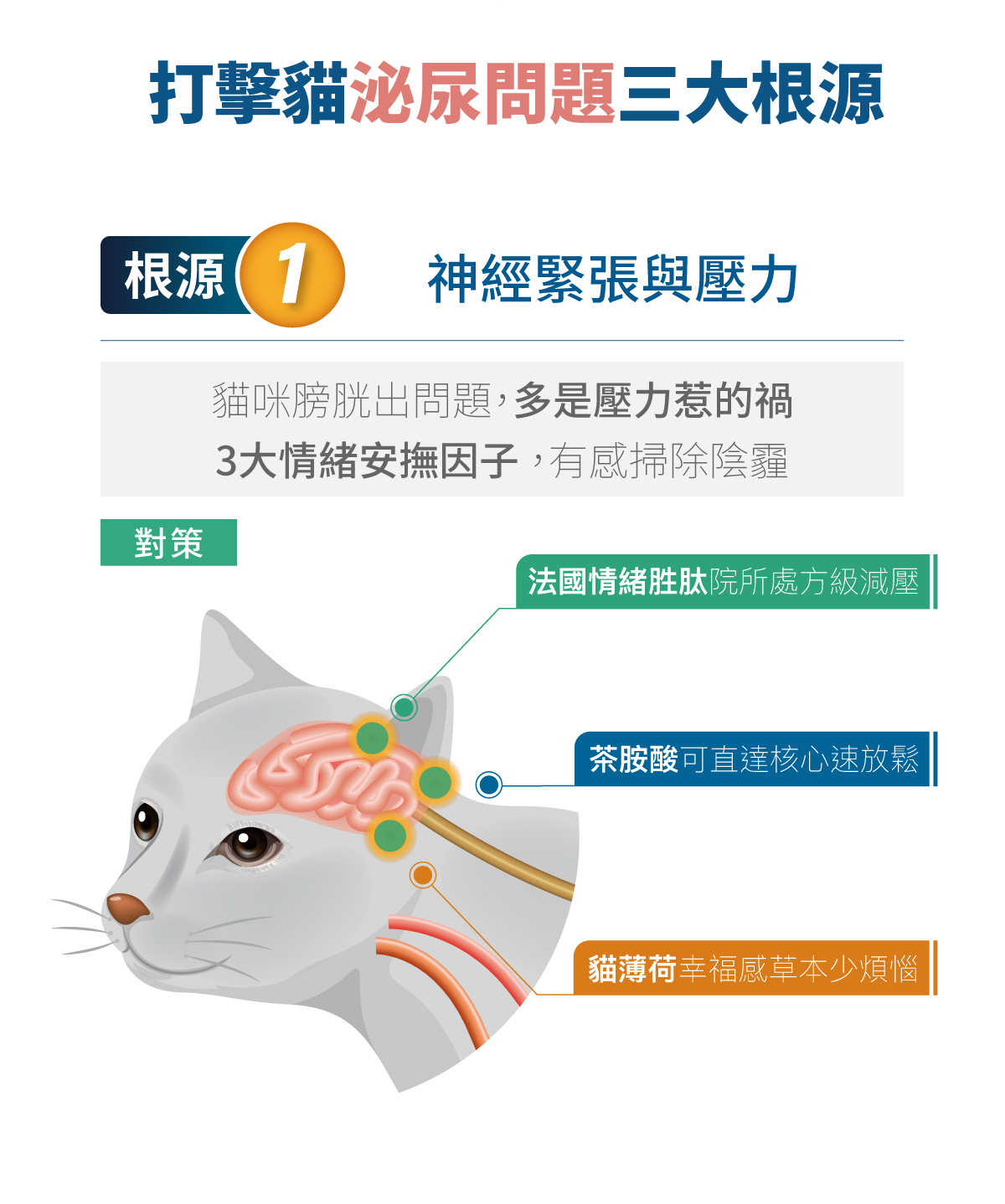 Moreson 木入森｜貓咪好規泌