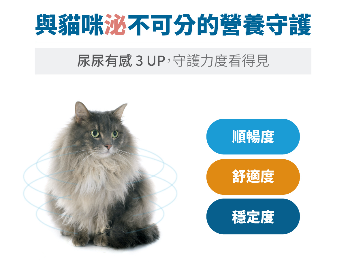 Moreson 木入森｜貓咪好規泌