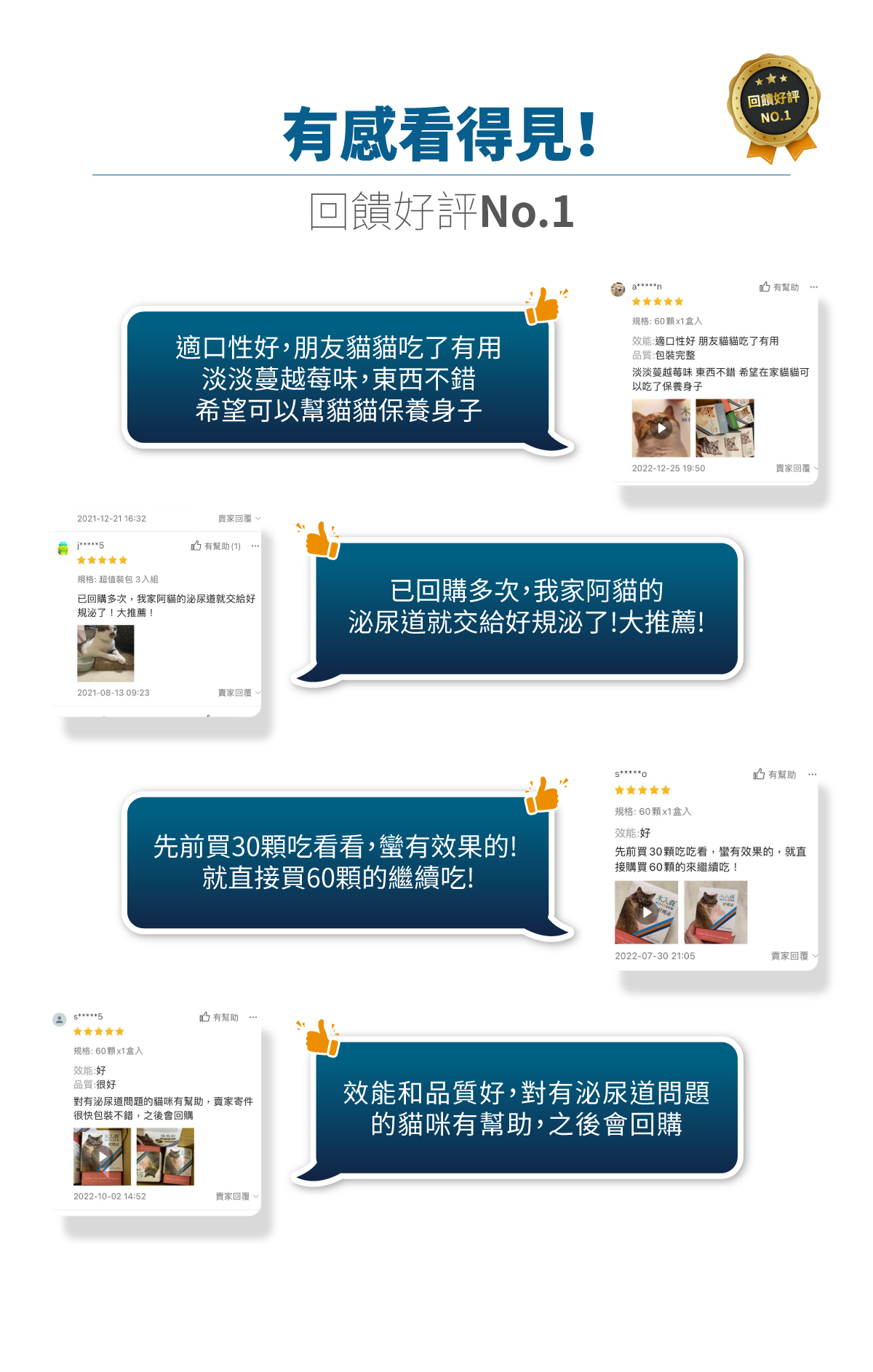 Moreson 木入森｜貓咪好規泌