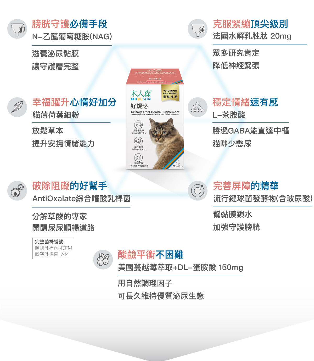 Moreson 木入森｜貓咪好規泌