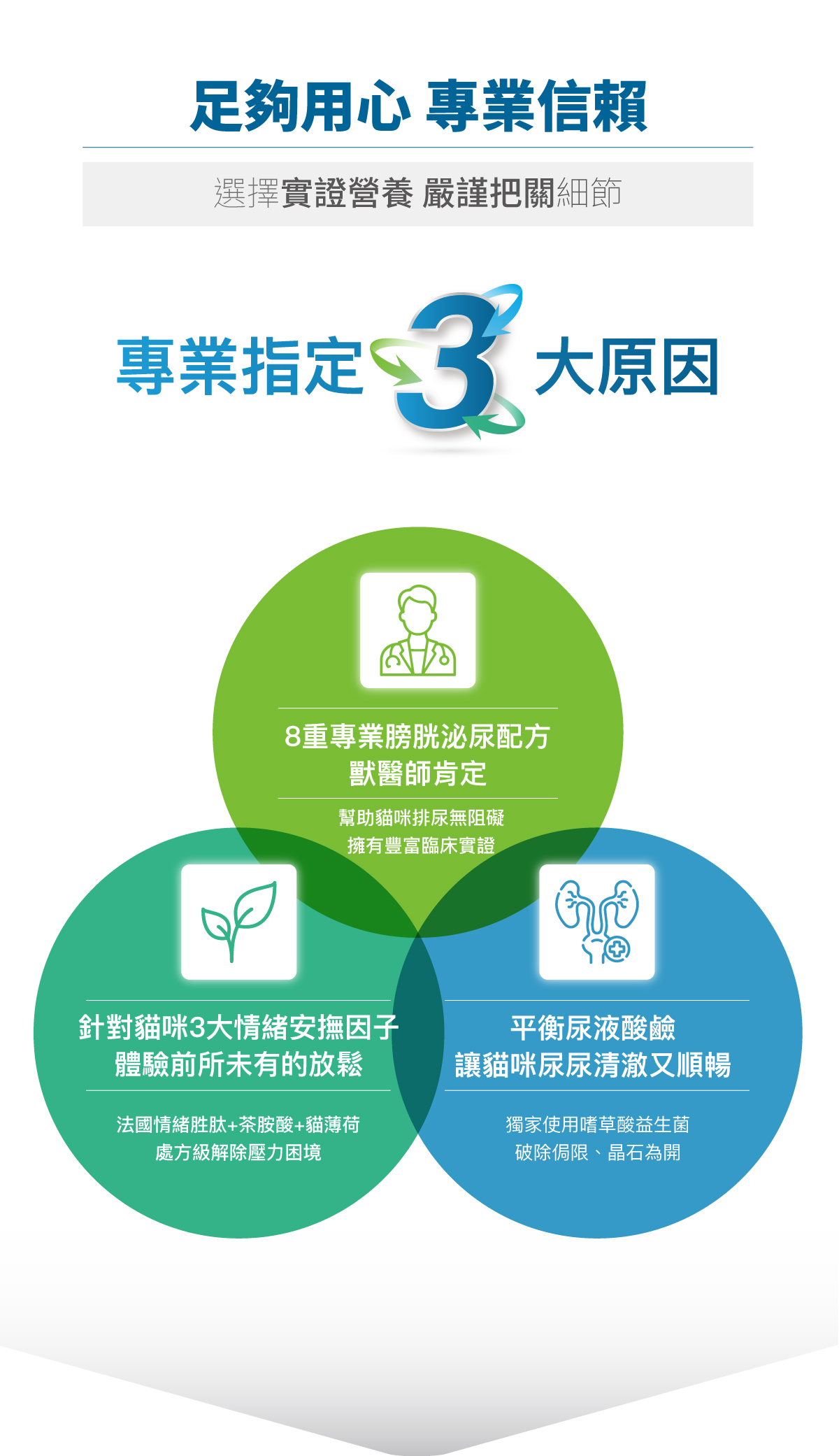 Moreson 木入森｜貓咪好規泌