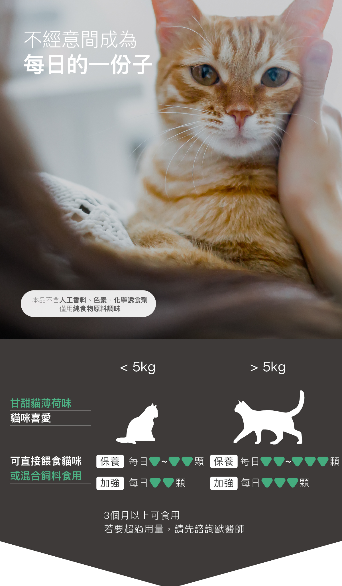 Moreson 木入森｜貓咪好規泌