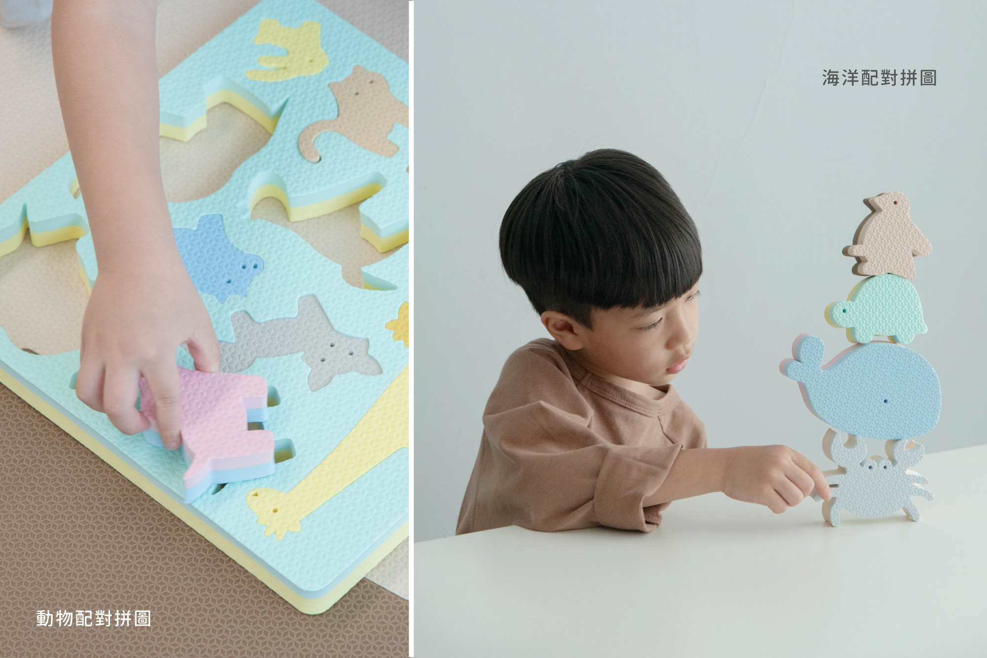 這是一張有動物園知育玩具和海洋生物知育玩具的照片