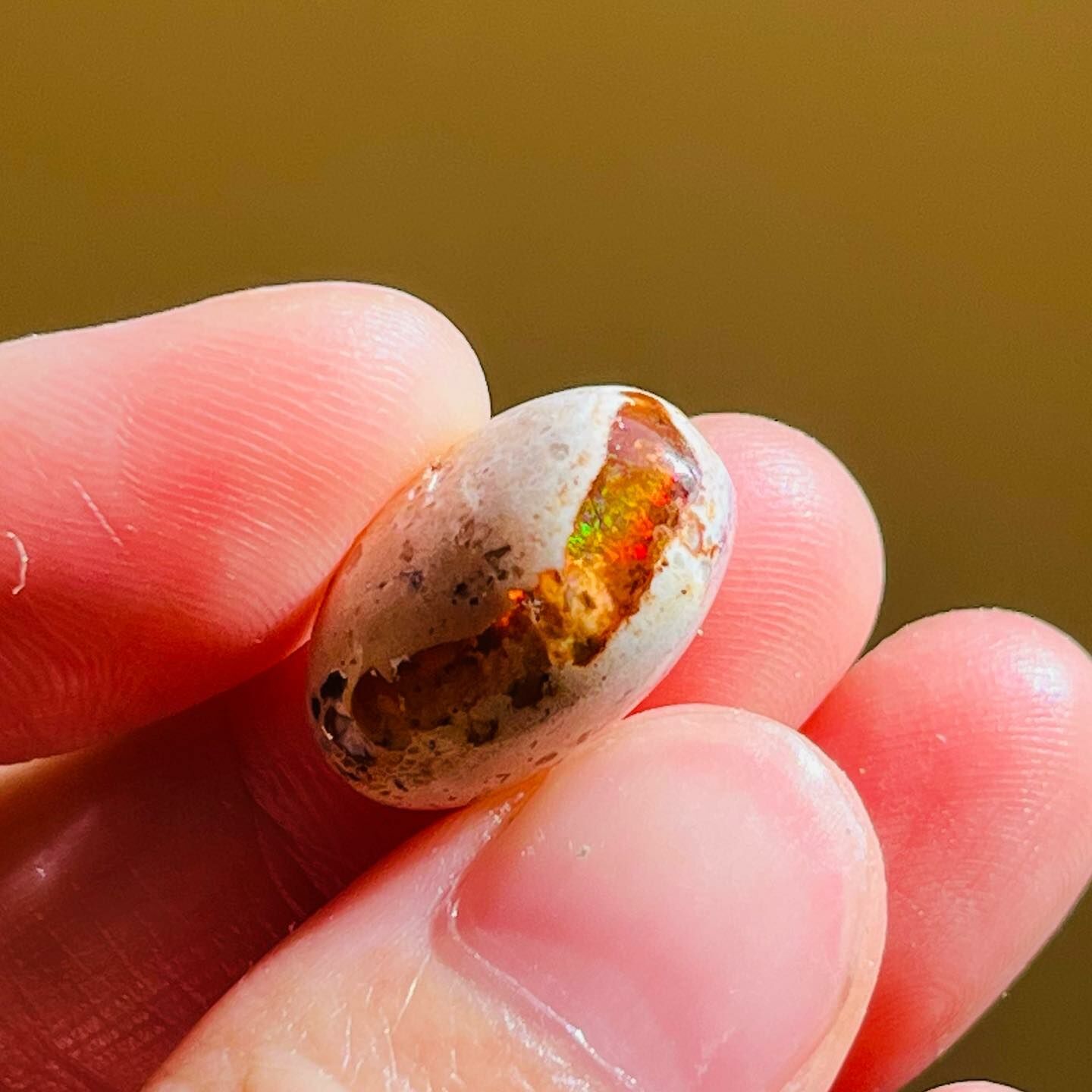 [原石] 墨西哥火蛋白石