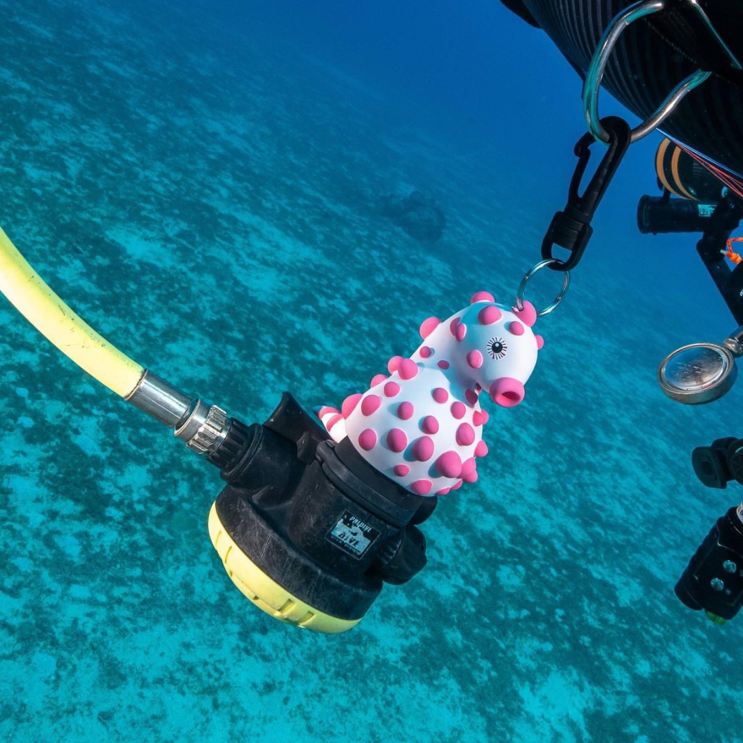 ▲Oceanarium 備用二級頭固定保護套