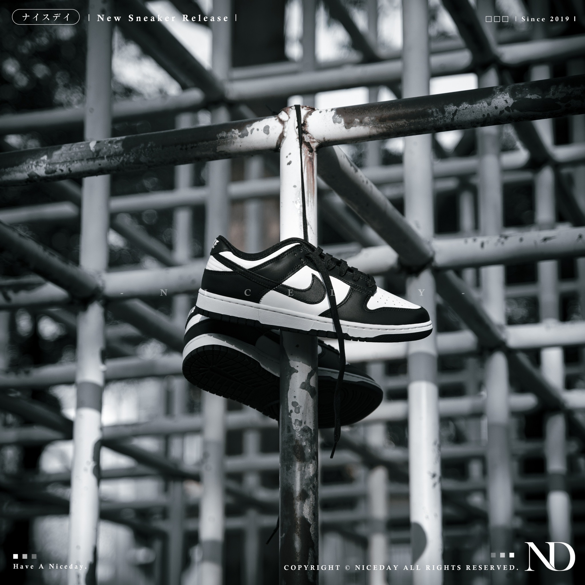 NICEDAY 現貨 Nike Dunk Low 黑白 熊貓 男女 DD1391-100  HF5441-100