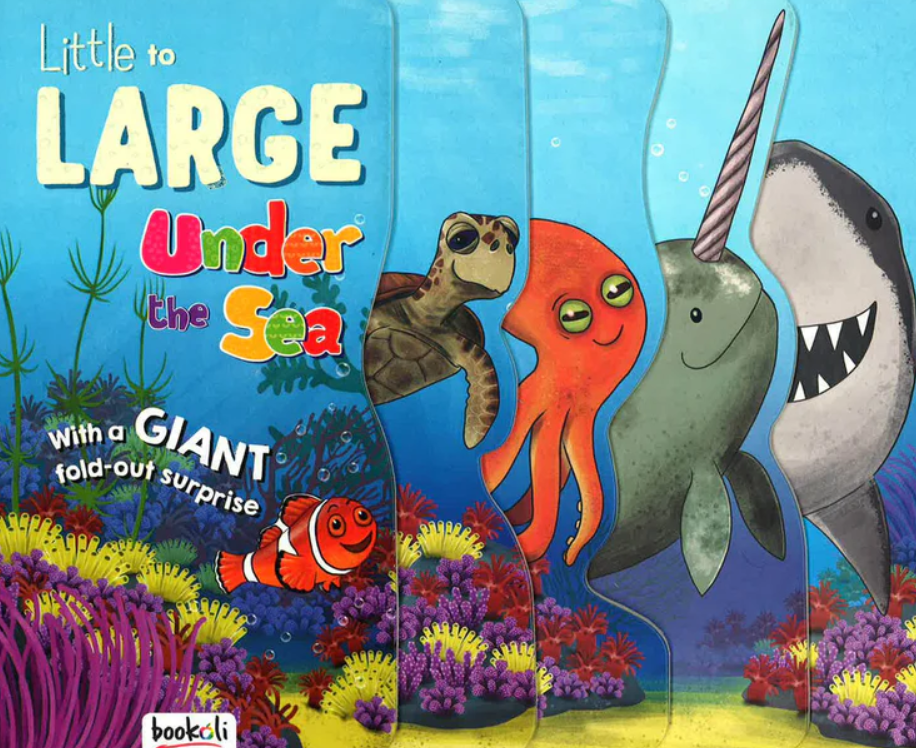 Little To Large Under The Sea