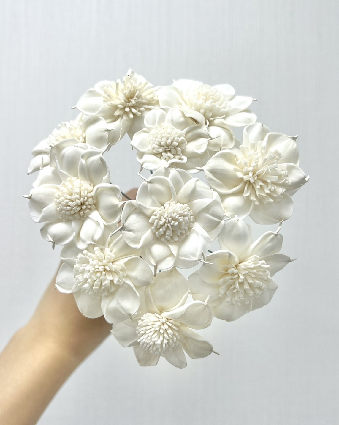 越南索拉花 圓葉水仙百合 6CM<十支一把>