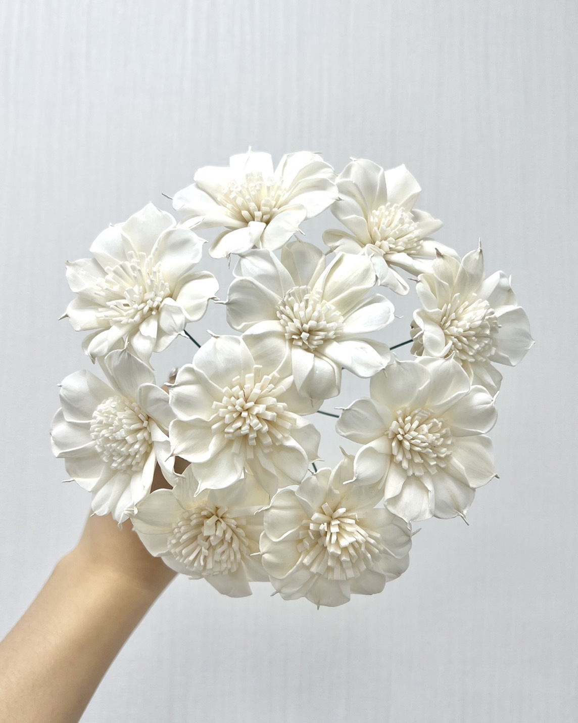 越南索拉花 圓葉水仙百合 4CM<十支一把>