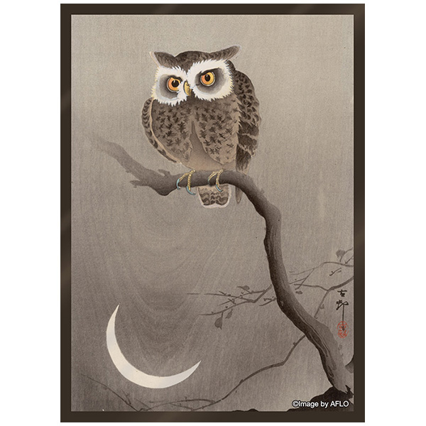 小原古邨「月と梟」 ブロッコリーキャラクタースリーブ プラチナグレード