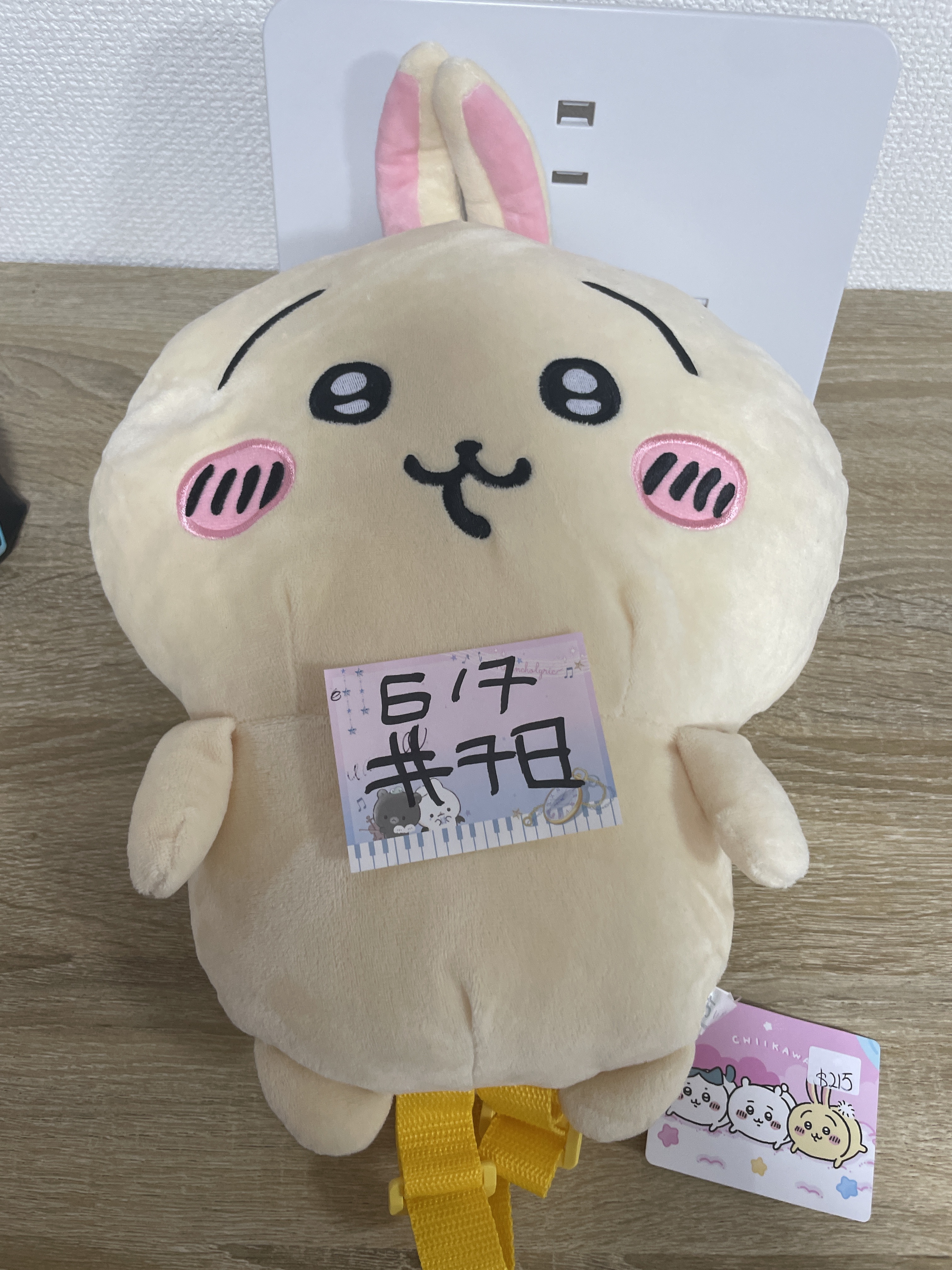 CHIIKAWA 兔兔 背包#78