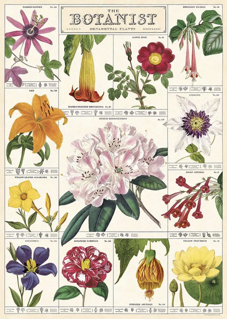 Cavallini｜美國 Cavallini & Co.包裝紙/海報 -花卉植物學
