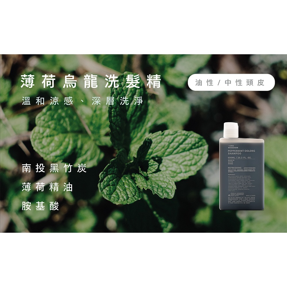 【樂森藥局】『專櫃新品』一日茶道 TEAORY║ 薄荷烏龍洗髮精 600ML(有效:27/08)