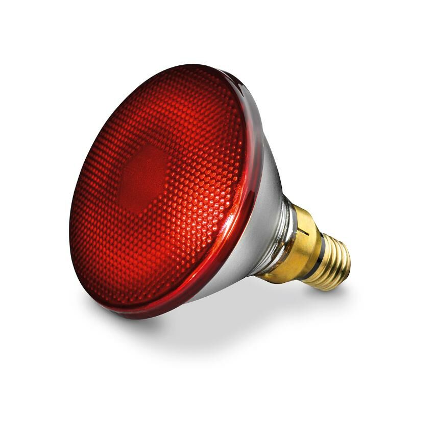 德國博依 Beurer  IL21‧紅外線健康燈‧150W‧香港行貨,原廠3年保養‧