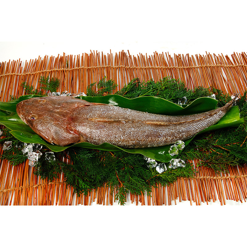 Local IQF Flathead 600g/pack