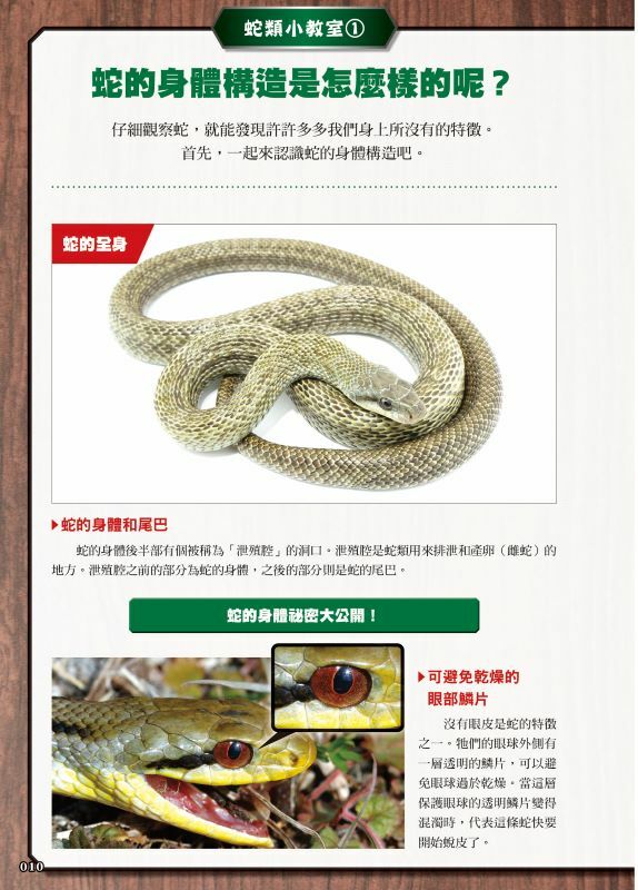 最強戰鬥4 全球蛇類 最強王者大戰圖鑑