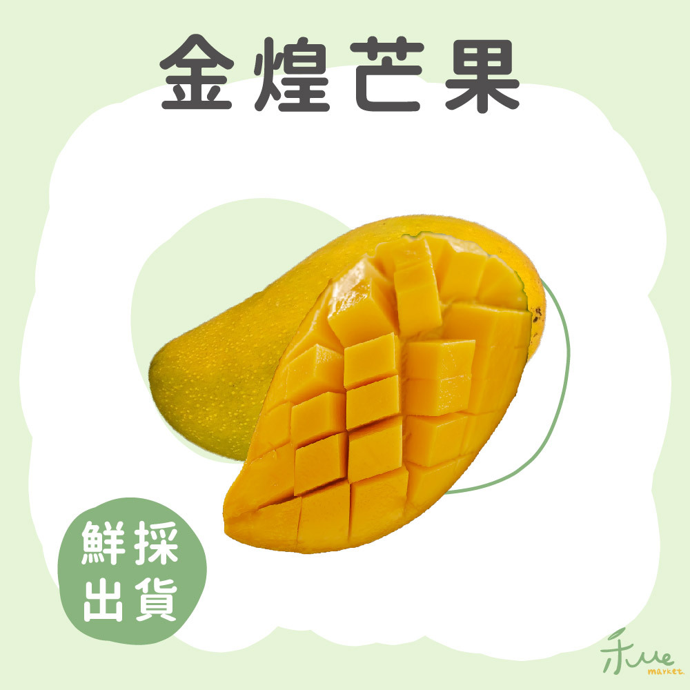 【高雄】金煌芒果10斤裝