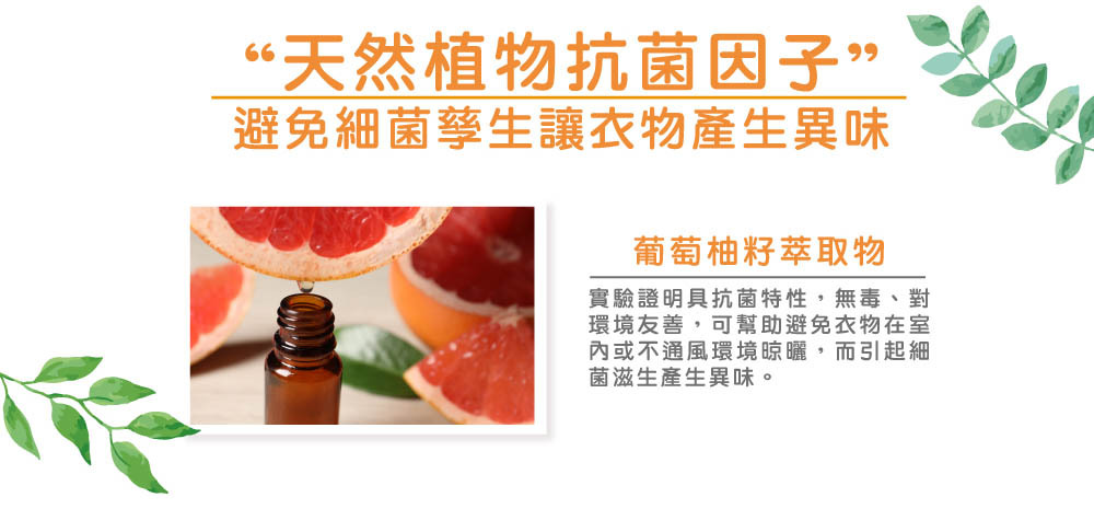 日光防蟎6倍濃縮洗衣精-天然植物抗菌因子,來自葡萄柚籽萃取,實驗證明其具抗菌特性,無毒、對環境友善,可避免細菌孳生讓衣物產生異味