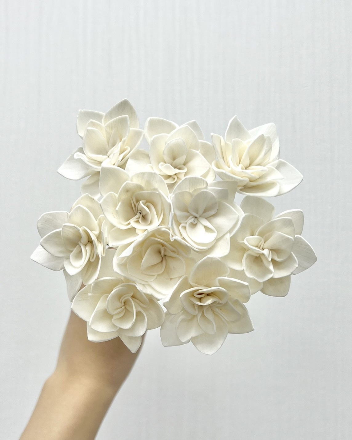 越南索拉花 晚香玉4CM<十支一把>