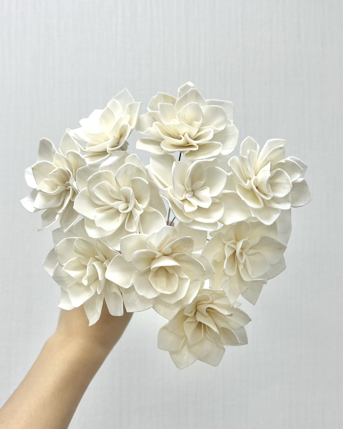 越南索拉花 晚香玉 6CM<十支一把>