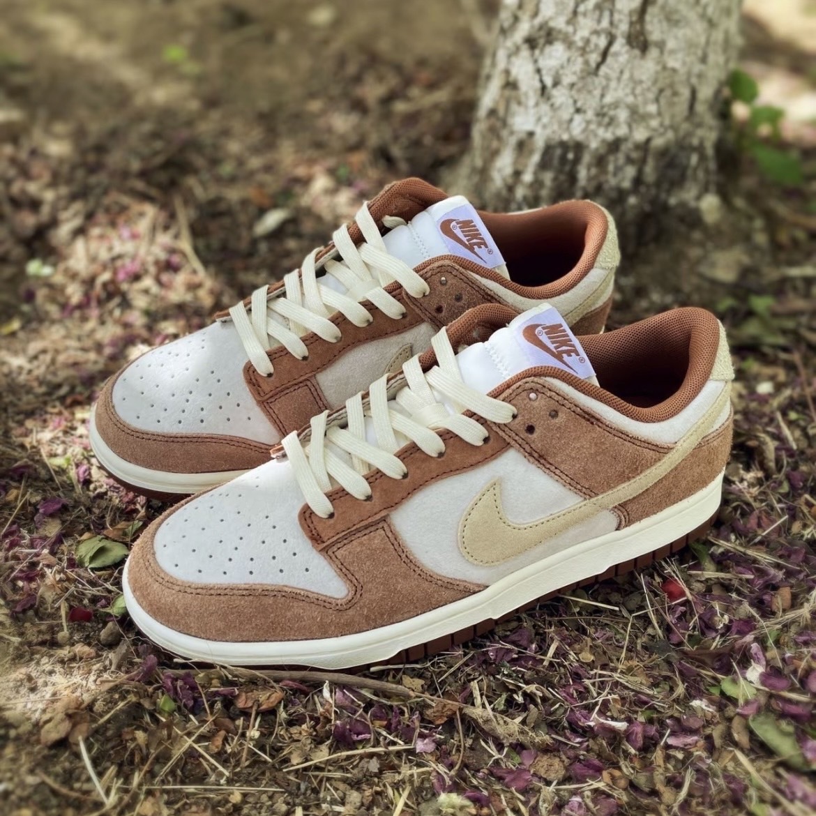 Nike Dunk Low Medium Curry 小麥焦糖 米白卡其 奶茶 麂皮