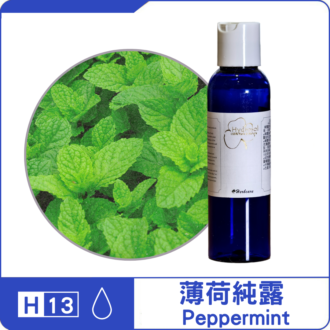 薄荷純露