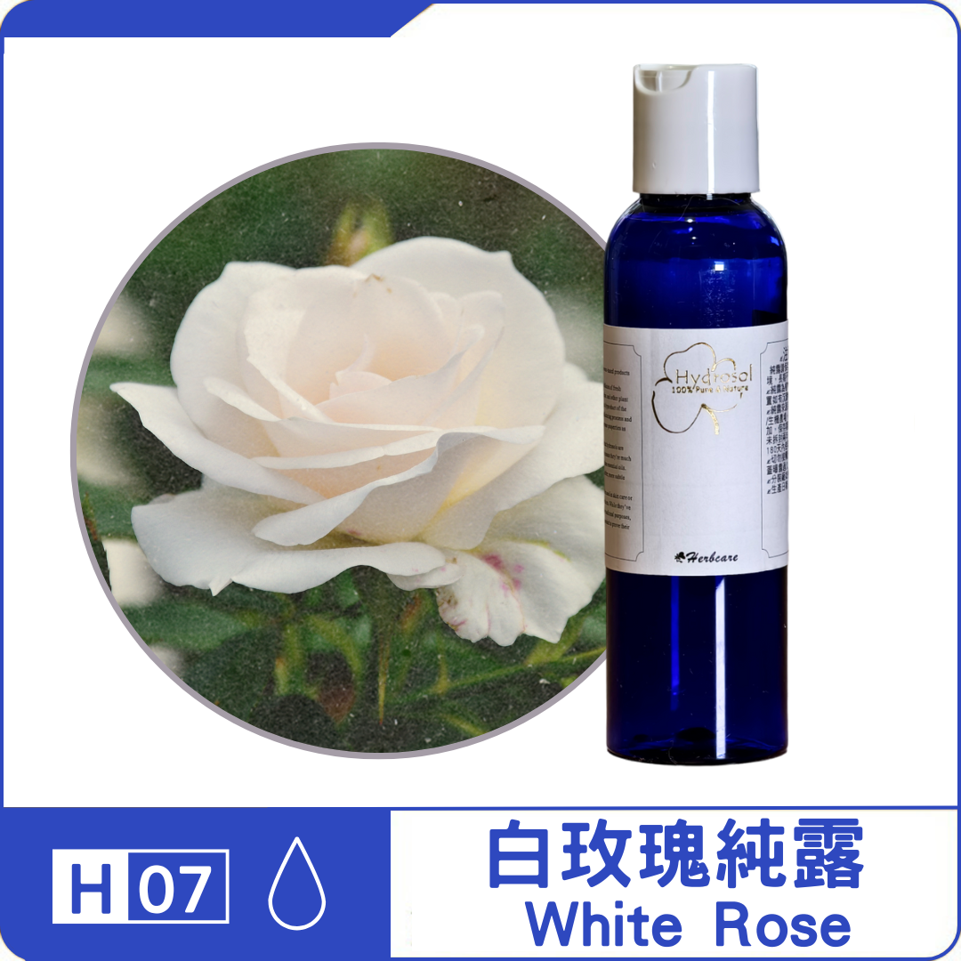 白玫瑰純露