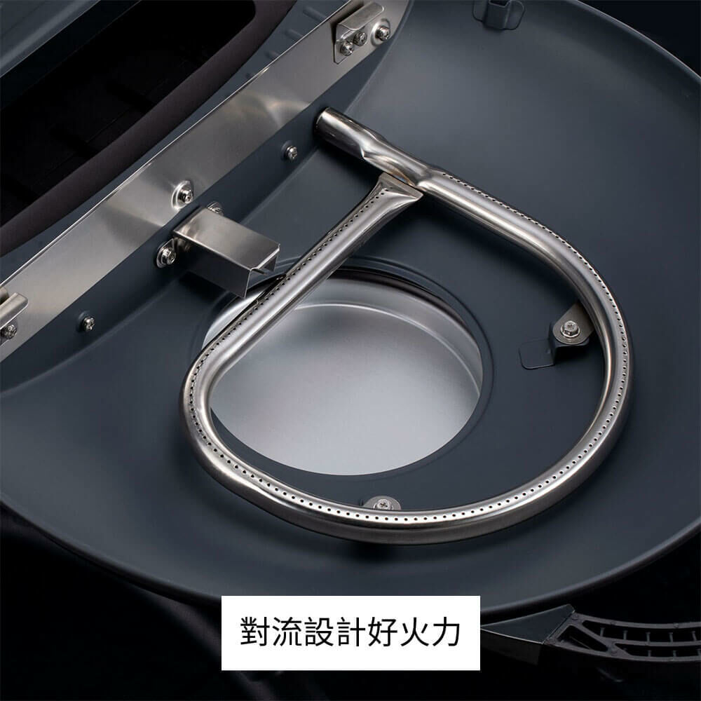 900T-E 美式時尚可攜式瓦斯烤肉爐