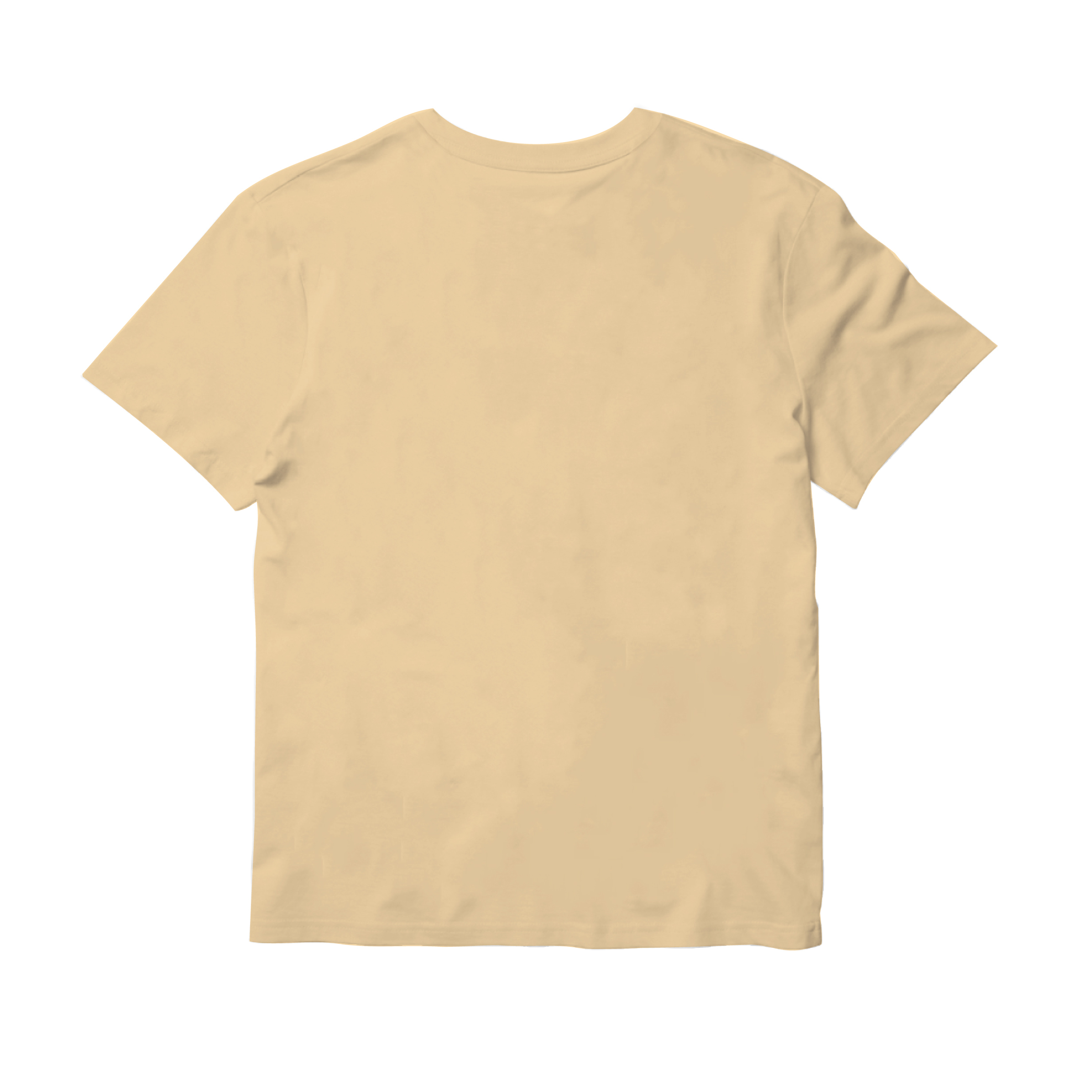 藝術T恤｜波提且利《年輕女子肖像》卡其