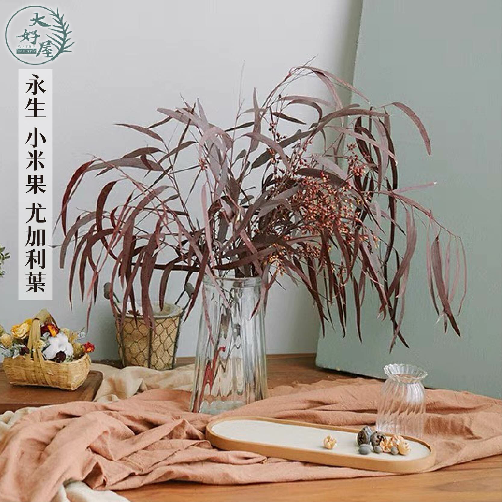 永生小米果尤加利葉【大】