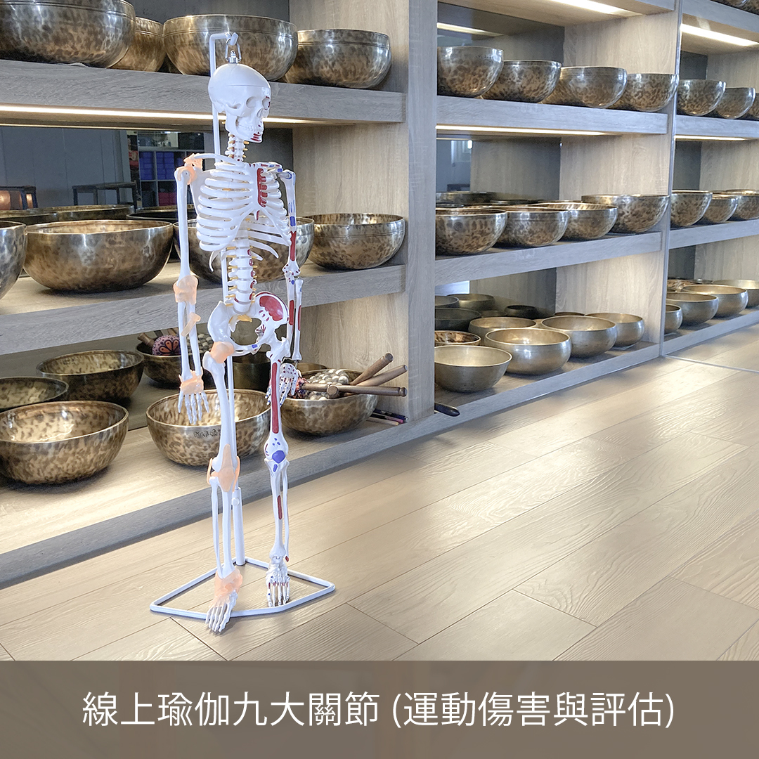 線上瑜伽九大關節 (運動傷害與評估)