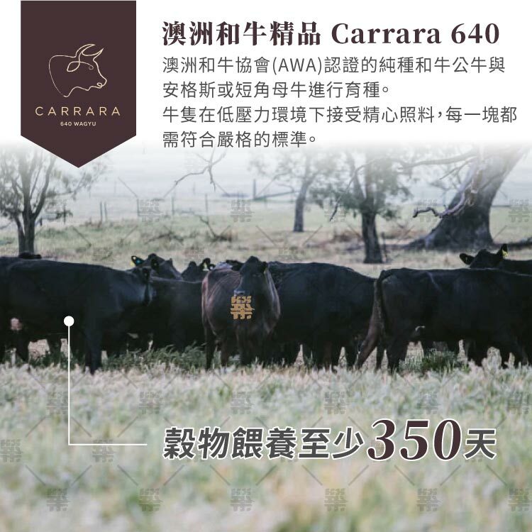 澳洲和牛精品CARRARA