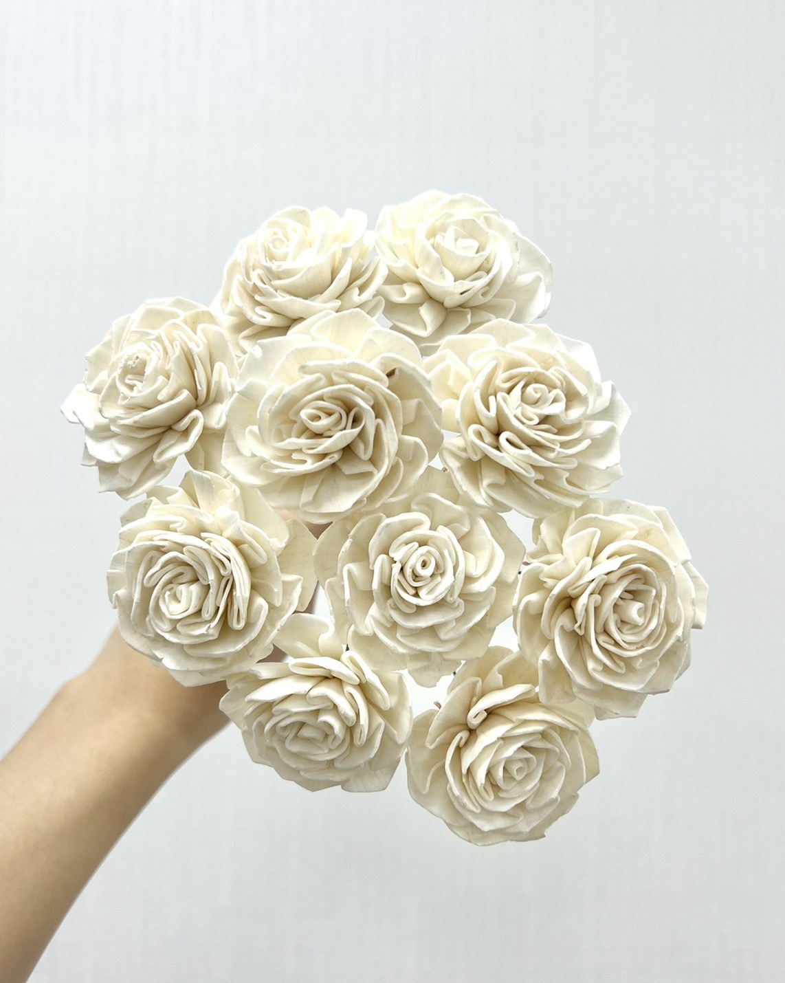 越南索拉花 大理花 4CM<十支一把>