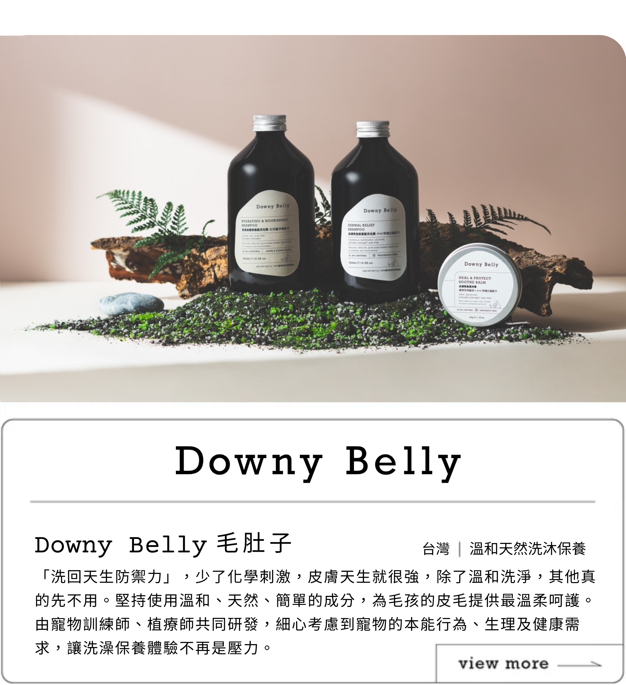 天然洗毛精推薦