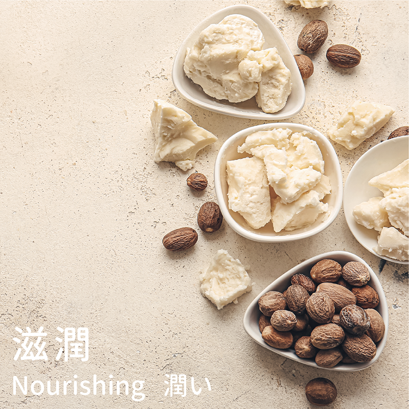 乳油木果脂：能被肌膚迅速吸收，滋潤度極佳。