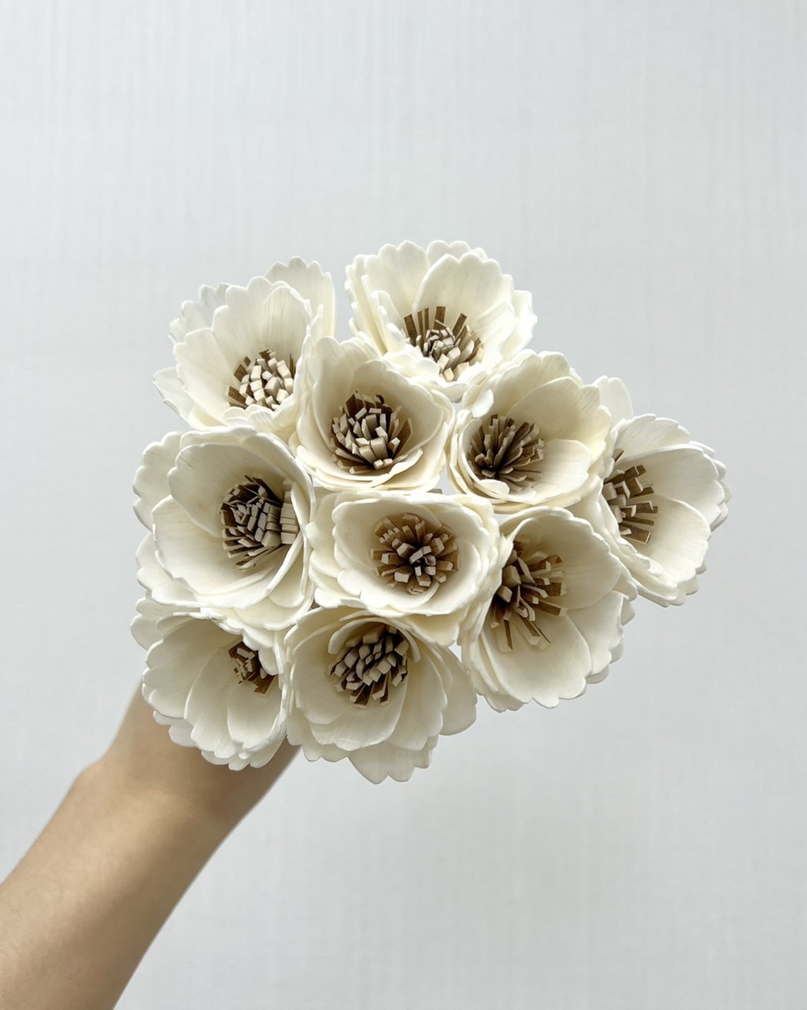 越南索拉花 波斯菊 4CM<十支一把>