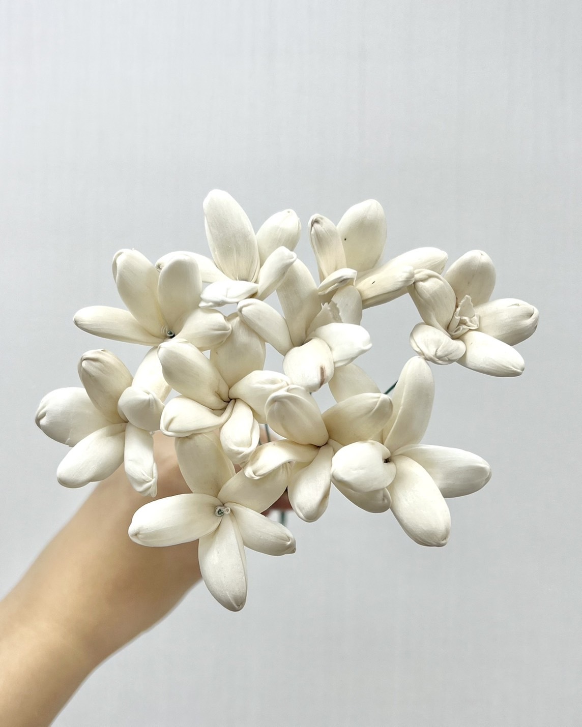 越南索拉花 茉莉花 4CM<十支一把>