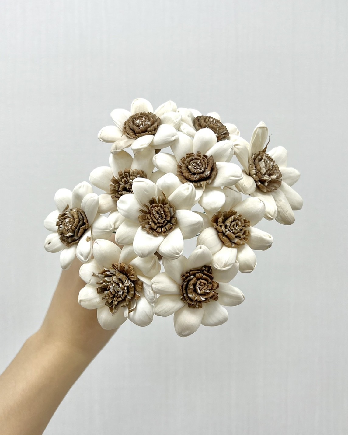 越南索拉花 小雛菊 4CM<十支一把>