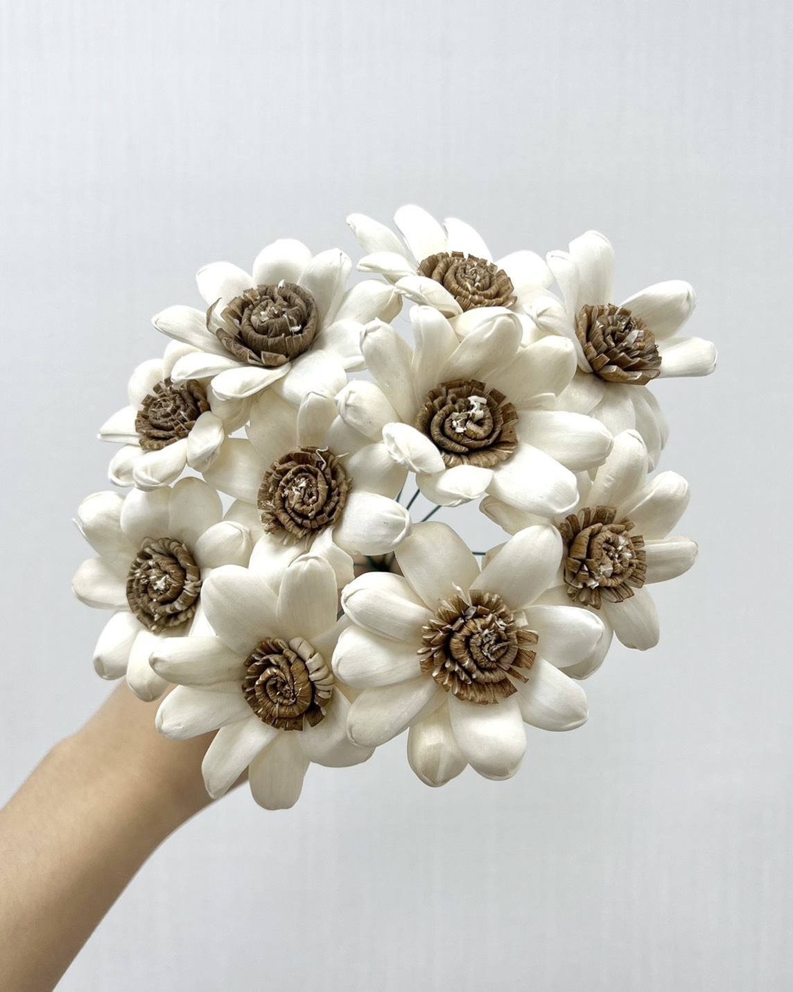 越南索拉花 小雛菊6CM<十支一把>