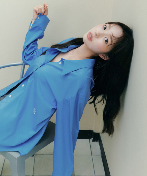 CITYBREEZE WRINKLE FREE BASIC SHIRT