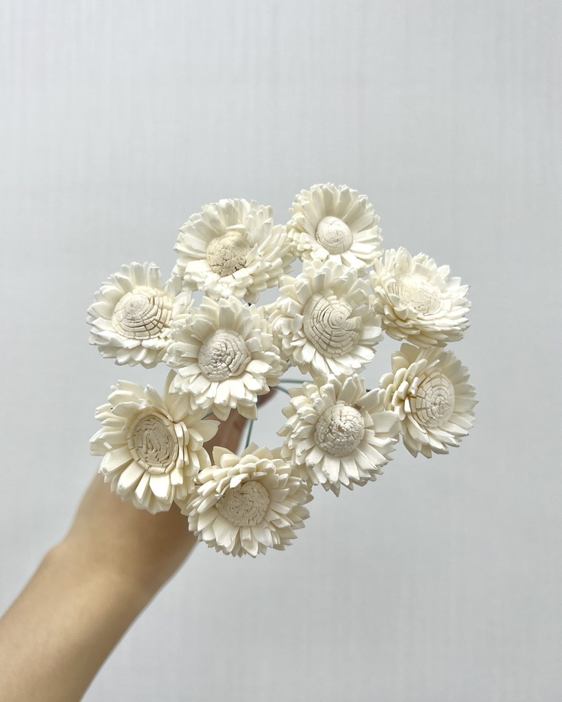 越南索拉花 迷你向日葵 3CM<十支一把>