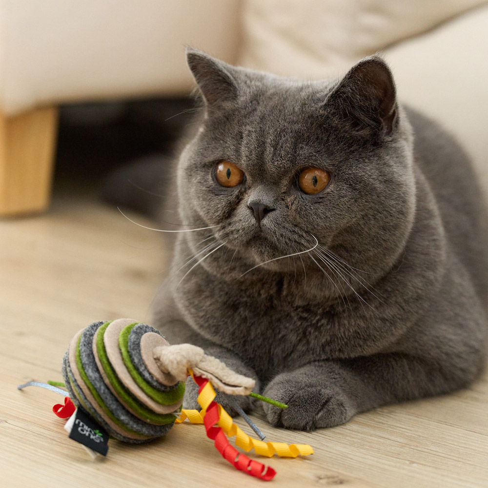 Minus One 邁樂思｜環保毛氈系列 貓咪吊掛玩具