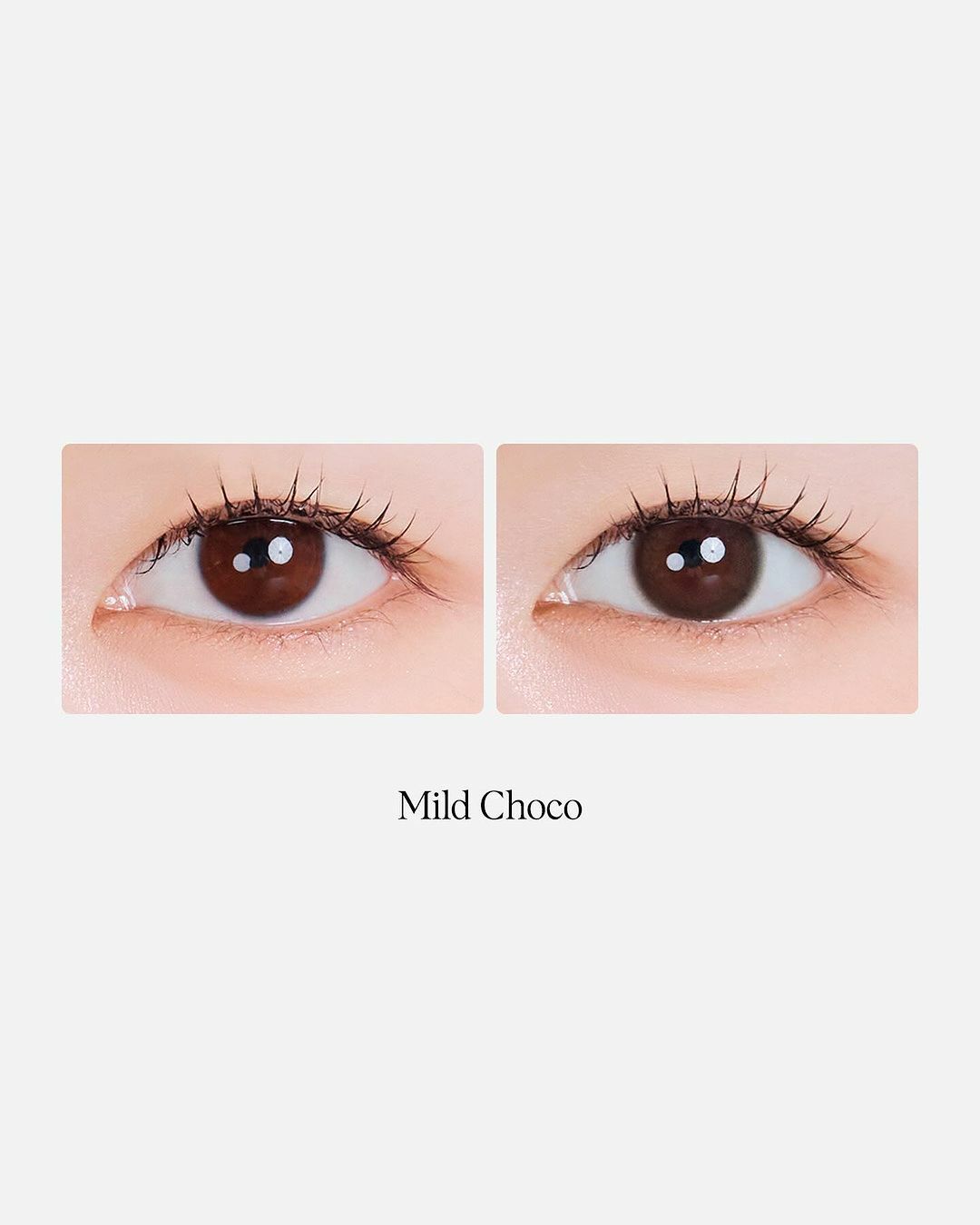 [日拋] Gemhour Lens Rheia 1 Day Mild Choco｜日拋彩妝隱形眼鏡｜每盒10片