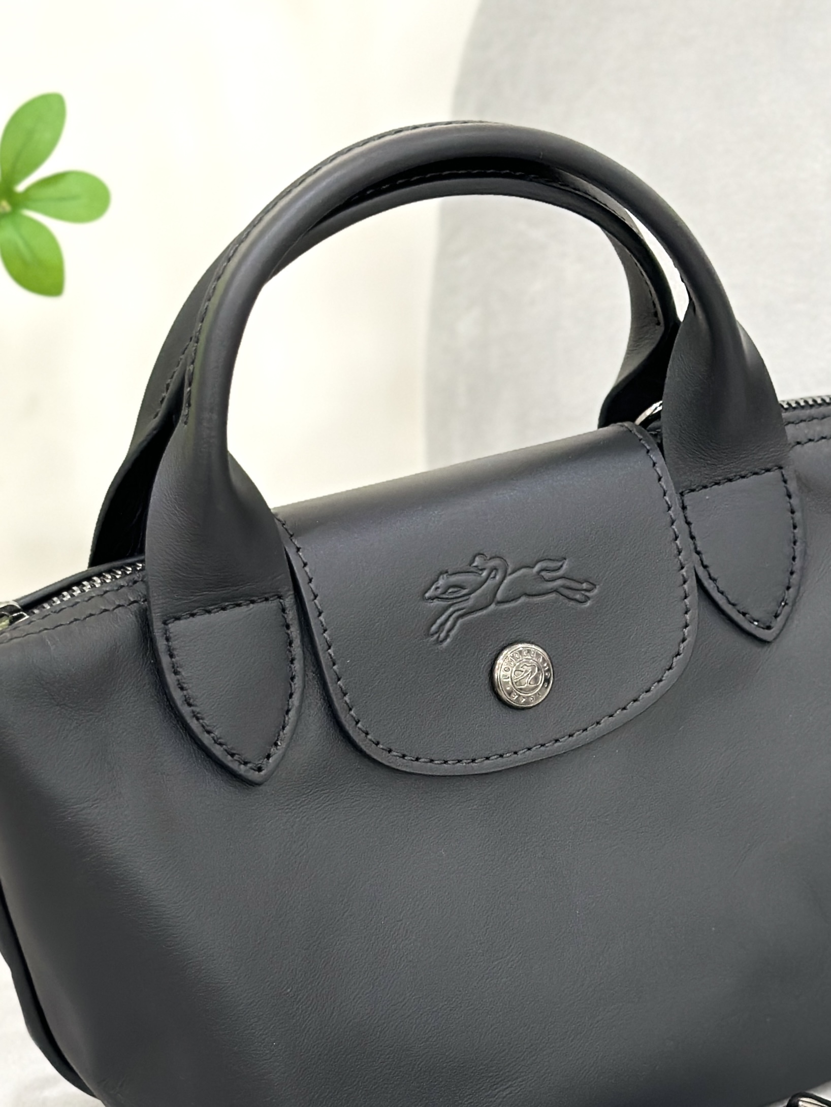 LONGCHAMP Le Pliage Xtra XS Handbag