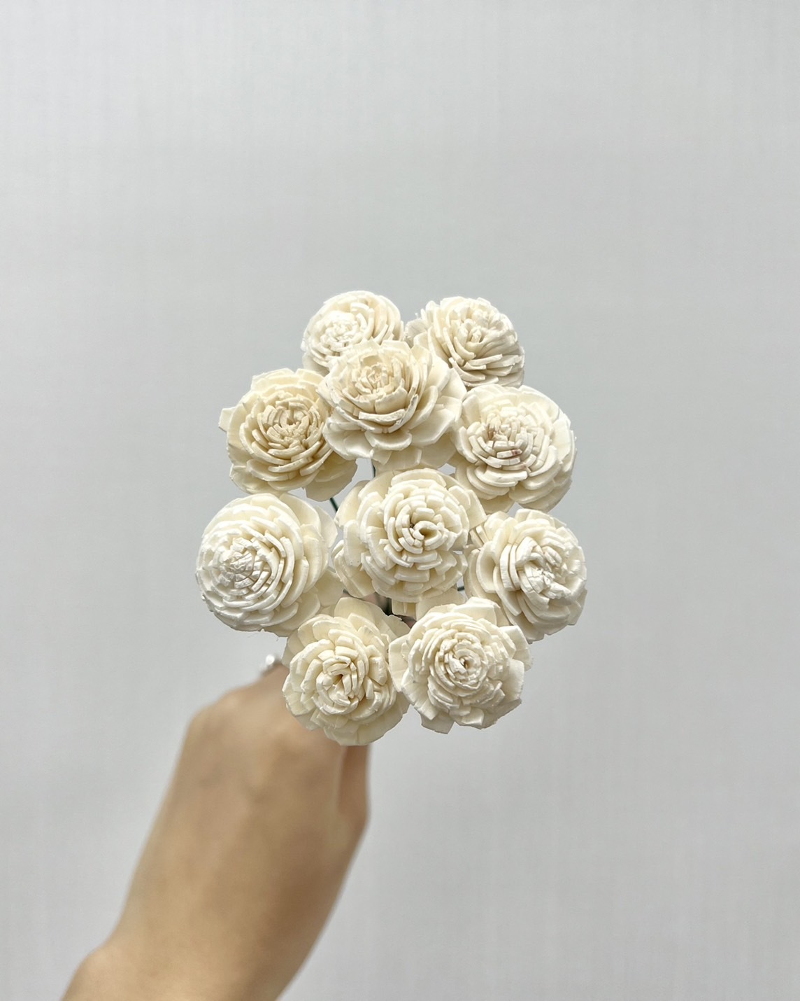 越南索拉花 貝力玫瑰 2CM<十支一把>